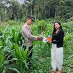 Antisipasi Hama dan Gulma Pada Tanaman Jagung, Kapolsek Jelai Hulu Berikan Bantuan Racun Rumput