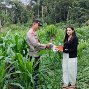 Antisipasi Hama dan Gulma Pada Tanaman Jagung, Kapolsek Jelai Hulu Berikan Bantuan Racun Rumput