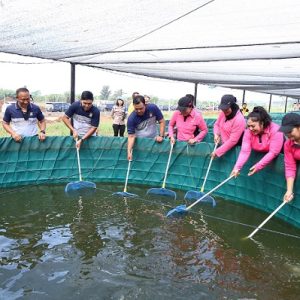 Ditlantas Polda Sumut bersama Pengurus Bhayangkari Gelar Panen Perdana Lele Mendukung Ketahanan Pangan 