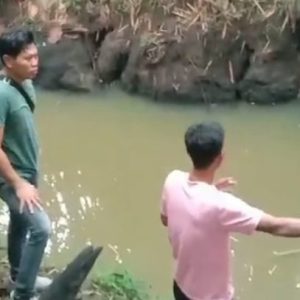 Dugaan Pencemaran Sungai di Lebak: Ikan Mati Massal Akibat Racun Kimia, Polisi Lakukan Investigasi