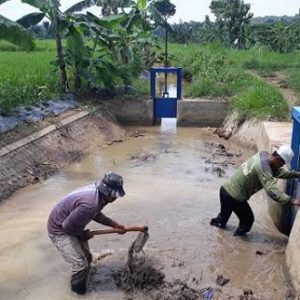Jaga Irigasi Demi Swasembada Pangan, Menteri PU: Petugas OP Tetap Bekerja