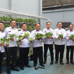 Lapas Sukabumi Panen Raya Hidroponik, Wujud Nyata Dukung Ketahanan Pangan