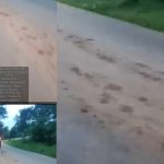 Membahayakan pengendara, Akses jalan raya arah obyek wisata Guci berceceran tanah