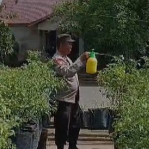 Polsek Benua Kayong Ajak Warga Tanam Perkarangan Bergizi di Halaman Rumah