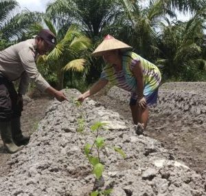 Bhabinkamtibmas Dampingi Petani Tanam Cabai dan Terong di Desa Sungai Besar