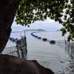 Jadi Sorotan, DPRD Lampung Minta Bongkar Pagar Laut di Pantai Mutun Jika Tak Berizin