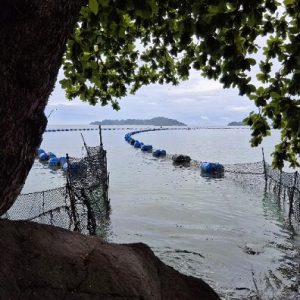 Jadi Sorotan, DPRD Lampung Minta Bongkar Pagar Laut di Pantai Mutun Jika Tak Berizin