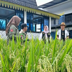 Bendahara PWI Kepri Buktikan Pers Dukung Ketahanan Pangan Nasional