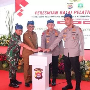 Mudik Lancar, Masyarakat Pecinta Polisi Apresiasi Kapolri dan Kakorlantas