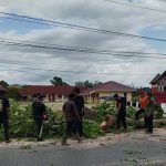 Rawan Kecelakaan, Pohon di Depan Gereja HKBP Aruan Ditebang