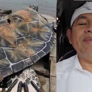 Gubernur Jawa Barat Perintahkan Audit Proyek Patung Penyu di Sukabumi, Publik Pertanyakan Transparansi