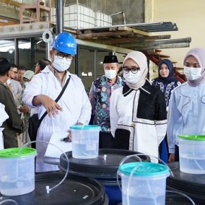 Gubernur Cukupi Kebutuhan Pupuk 190.851 Petani Lampung