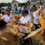 Program Ketahanan Pangan, Kemenimipas Laksanakan Panen Perdana di Nusakambangan