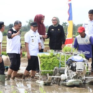 Gerina 2025, Pemprov Lampung Pacu Produksi Padi dan Serapan Gabah