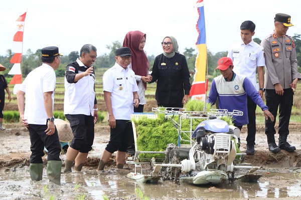 Gerina 2025, Pemprov Lampung Pacu Produksi Padi dan Serapan Gabah