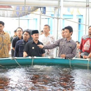 Pakai Solusi “Maggot“ Pengelolaan Sampah Ramah Lingkungan dapat Alternatif Pengurai Sampah organik