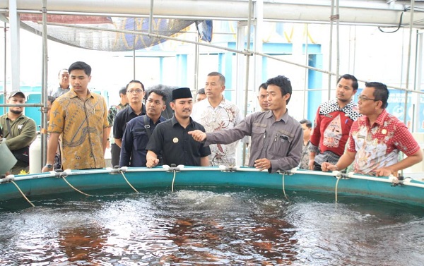 Pakai Solusi “Maggot“ Pengelolaan Sampah Ramah Lingkungan dapat Alternatif Pengurai Sampah organik