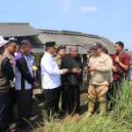 Wujud Komitmen Swasembada Pangan Nasional dan Sinergi Daerah, Kasdim 0509 Dampingi Wabup Bekasi Hadiri Panen Raya