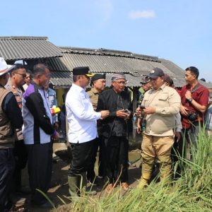 Wujud Komitmen Swasembada Pangan Nasional dan Sinergi Daerah, Kasdim 0509 Dampingi Wabup Bekasi Hadiri Panen Raya