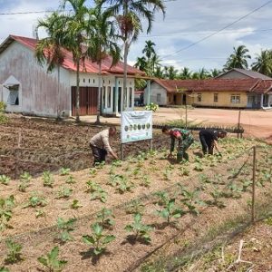Bhabinkamtibmas Polsek Matan Hilir Selatan Polres Ketapang Cek Perkarangan Pangan Bergizi Milik Warga