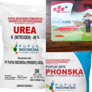 Oknum Ketua Kelompok Tani di Desa Kaliwlingi Brebes diduga ambil untung dari pupuk subsidi