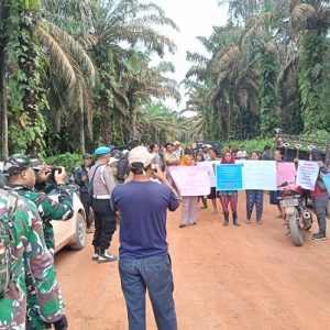 Dipimpin Tokoh Masyarakat dan Tokoh Adat Warga Kecamatan Manis Mata Lakukan Panen Perdana