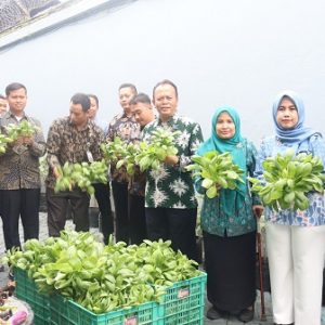 Wujud Ketahanan Pangan Berkelanjutan, Lapas Sukabumi Panen Sayuran Hidroponik Hasil Warga Binaan