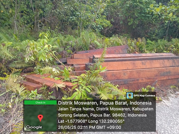 Gudang CV. ATG di Duga Jadi Dalang Pembalakan Liar di Sorsel