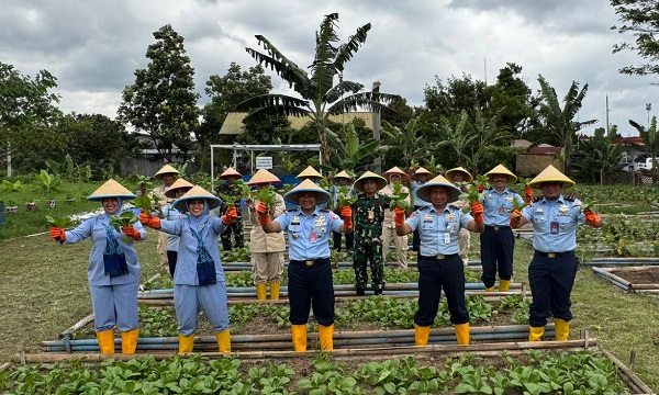 Dukung Pemenuhuan Gizi, Lanud Husein Panen Sayur untuk dapur SPPG