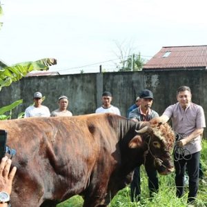 Idul Adha, Polres Ketapang Sembelih Empat ekor Sapi dan Satu ekor Kambing