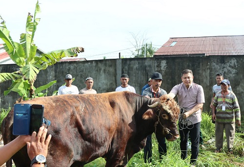 Idul Adha, Polres Ketapang Sembelih Empat ekor Sapi dan Satu ekor Kambing