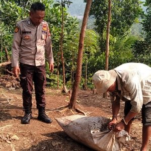 Persiapan Tanam Jagung Polsek Bojongmanik Polres Lebak Tebar Pupuk Kompos Organik 
