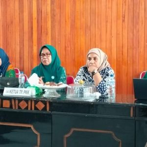 TP-PPK Butur Iikuti Sosialisasi Implementasi Posyandu Bidang SPM