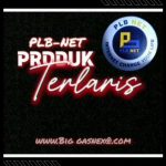 Solusi Tepat Jaringan Wi-fi Anda, PLB-NET Kini Telah Hadir di Kecamatan Cirinten