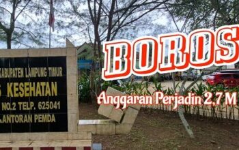 anggaran_dinkes_lampungtimur2025