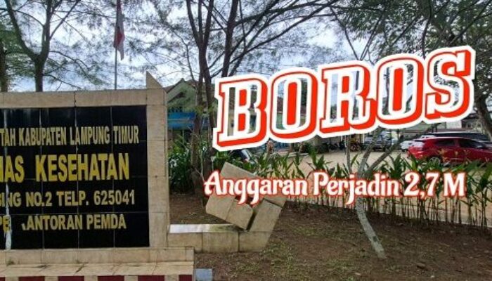 Efensiensi atau Boros, Fakta Dinkes Lamtim pakai anggaran Perjadin 2,7 miliar