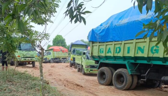 Diduga Gunakan Solar Subsidi, Galian Tanah Merah di Rangkasbitung Dibiarkan Beroperasi Dekat Permukiman