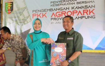 Penanaman cabai dan nanas di kawasan Agropark PKK Lampung