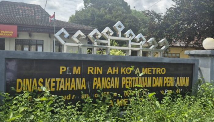 Kejaksaan Geledah Kantor DKP3 Metro, Anggaran Miliaran Diduga Bermasalah