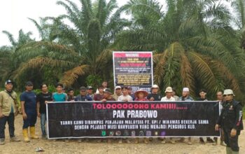 Kasus Mafia Tanah Perkebunan Muba: Ribuan Hektar Lahan di Luar HGU Diduga Dikuasai Secara Ilegal