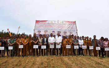 Perkuat Ketahanan Pangan Daerah, Pemkab Humbahas Gandeng PalmCo Tanam 110 Hektare Padi Gogo