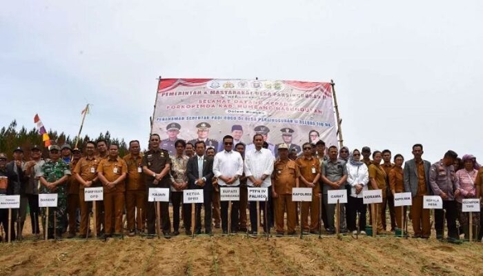 Perkuat Ketahanan Pangan Daerah, Pemkab Humbahas Gandeng PalmCo Tanam 110 Hektare Padi Gogo