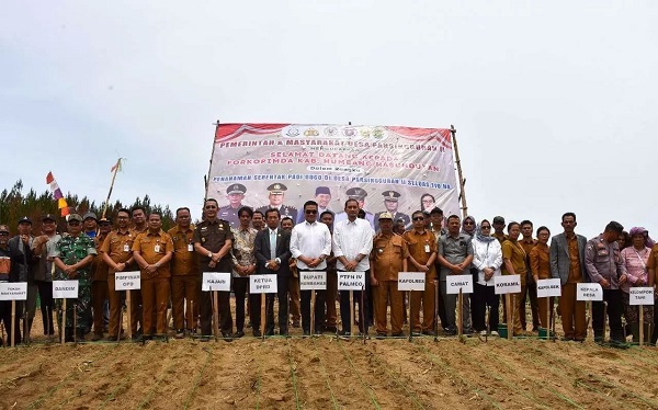 Perkuat Ketahanan Pangan Daerah, Pemkab Humbahas Gandeng PalmCo Tanam 110 Hektare Padi Gogo