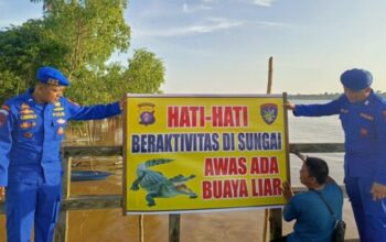Buaya liar berjemur di tepian Sungai Kahayan