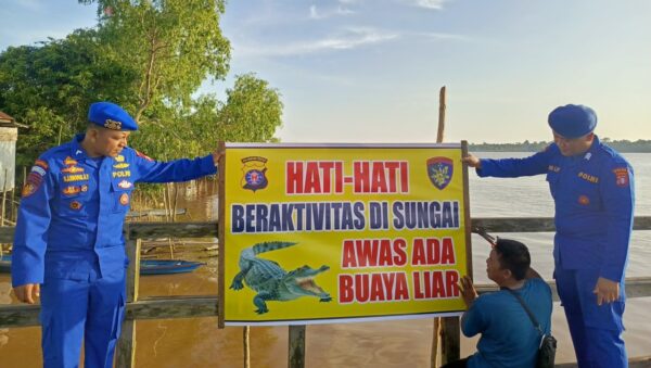 Buaya liar berjemur di tepian Sungai Kahayan