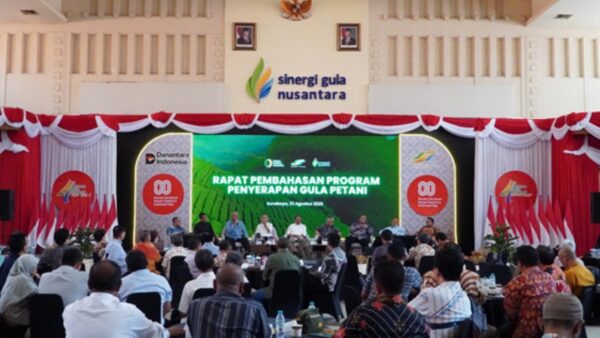 Penyerapan gula petani oleh PT Sinergi Gula Nusantara
