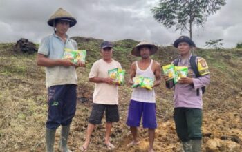 Kapolres Teluk Bintuni serahkan bibit jagung untuk petani di Distrik Sumuri