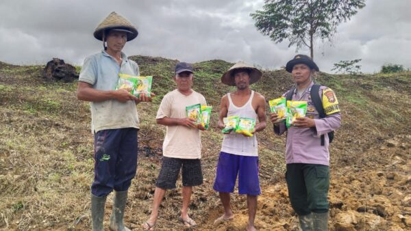 Kapolres Teluk Bintuni serahkan bibit jagung untuk petani di Distrik Sumuri
