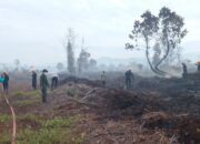 Karhutla di Aceh Selatan, Brimob Polda Aceh dan Tim Gabungan Berhasil Jinakkan Api 65 Hektare Sawit