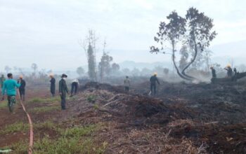Karhutla Aceh Selatan Brimob bersama BPBD dan TNI padamkan api.